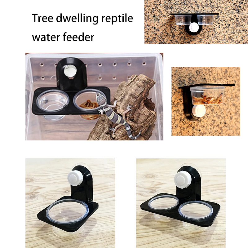 Water Dish Reptile - Аксессуары для резервуаров для рептилий, насекомое,
