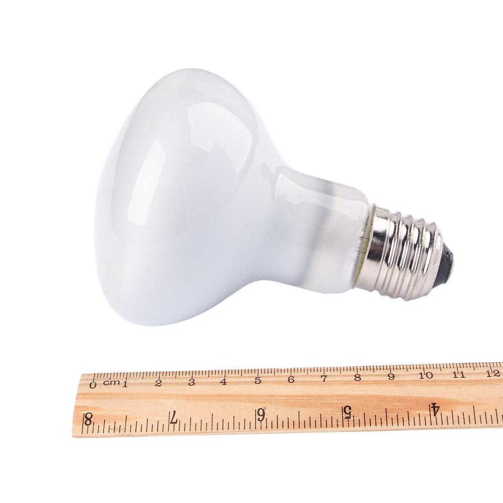 Лампа-обогреватель для рептили – обзор и цена Basking Bulb Halogen