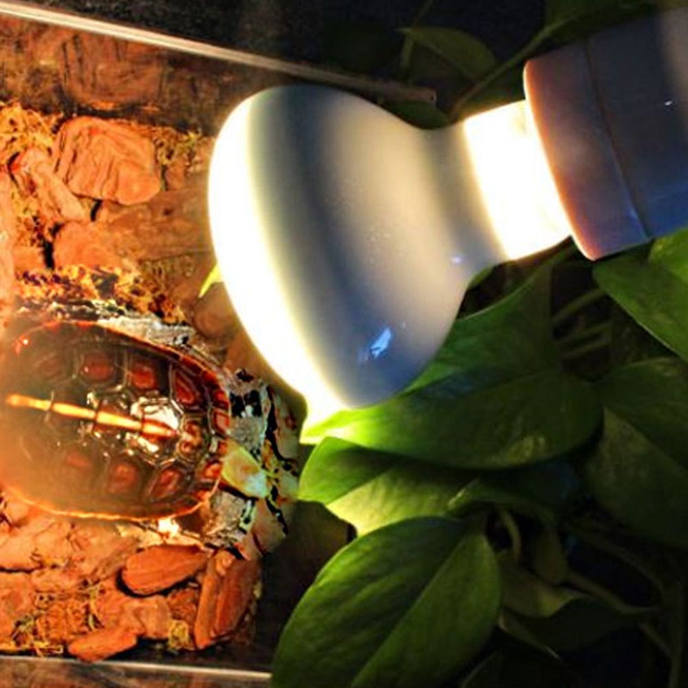 Контроллер температуры для обо – обзор и цена Basking Bulb Halogen