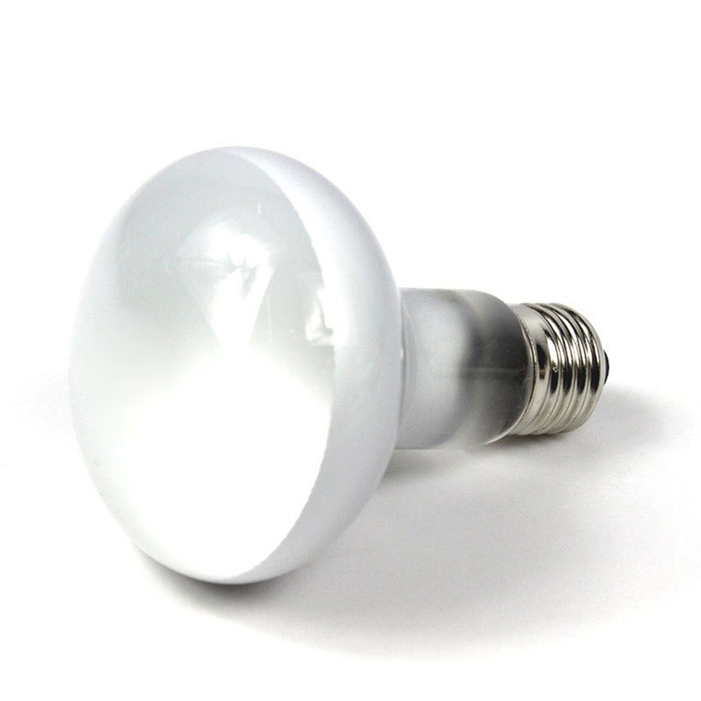Контроллер температуры для обо – обзор и цена Basking Bulb Halogen