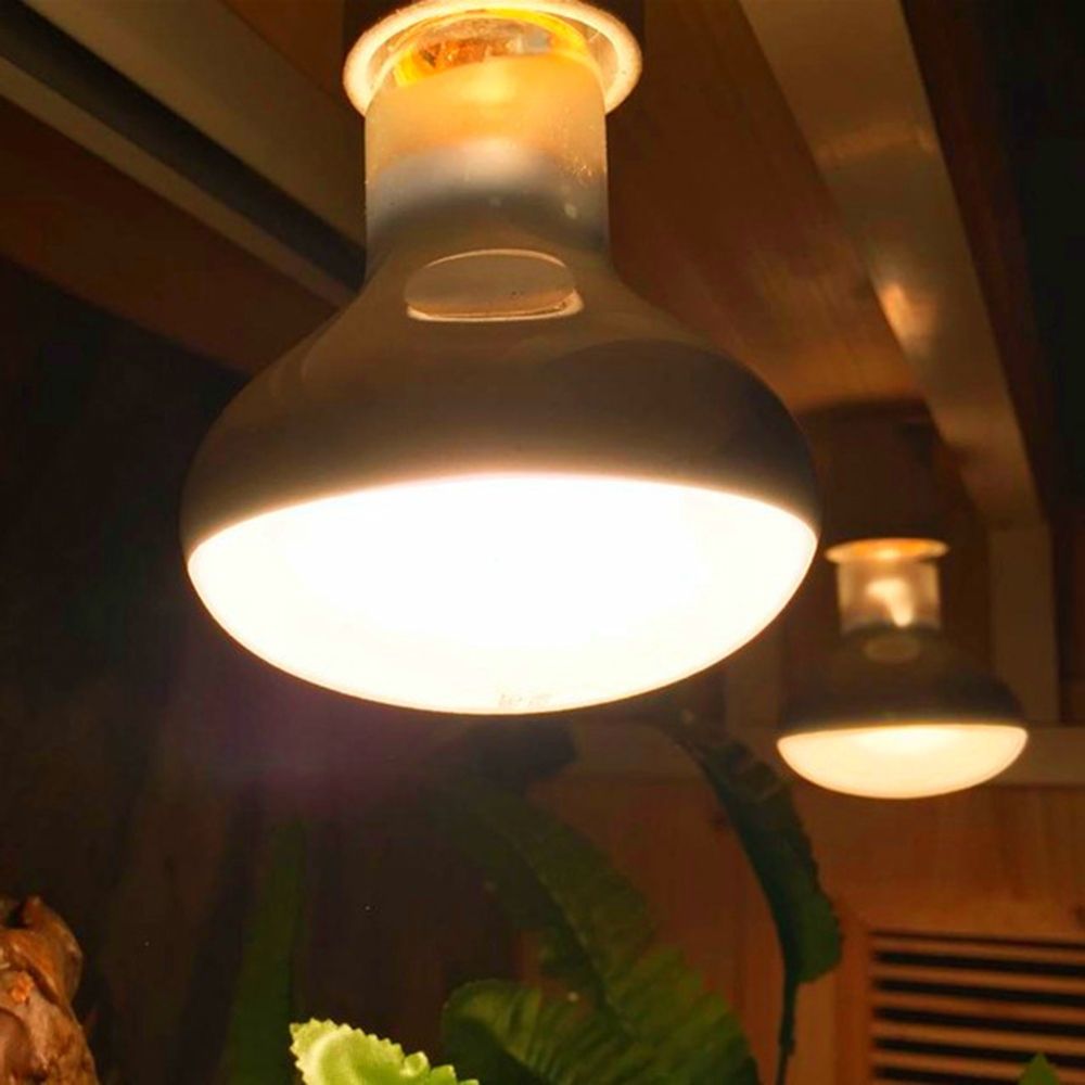 Контроллер температуры для обо – обзор и цена Basking Bulb Halogen