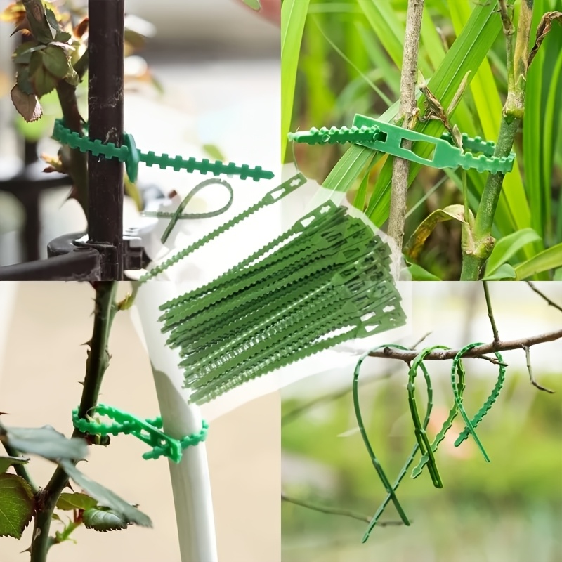 100 шт. многоразовых регулируе – обзор и цена Vine Climbing Plastic