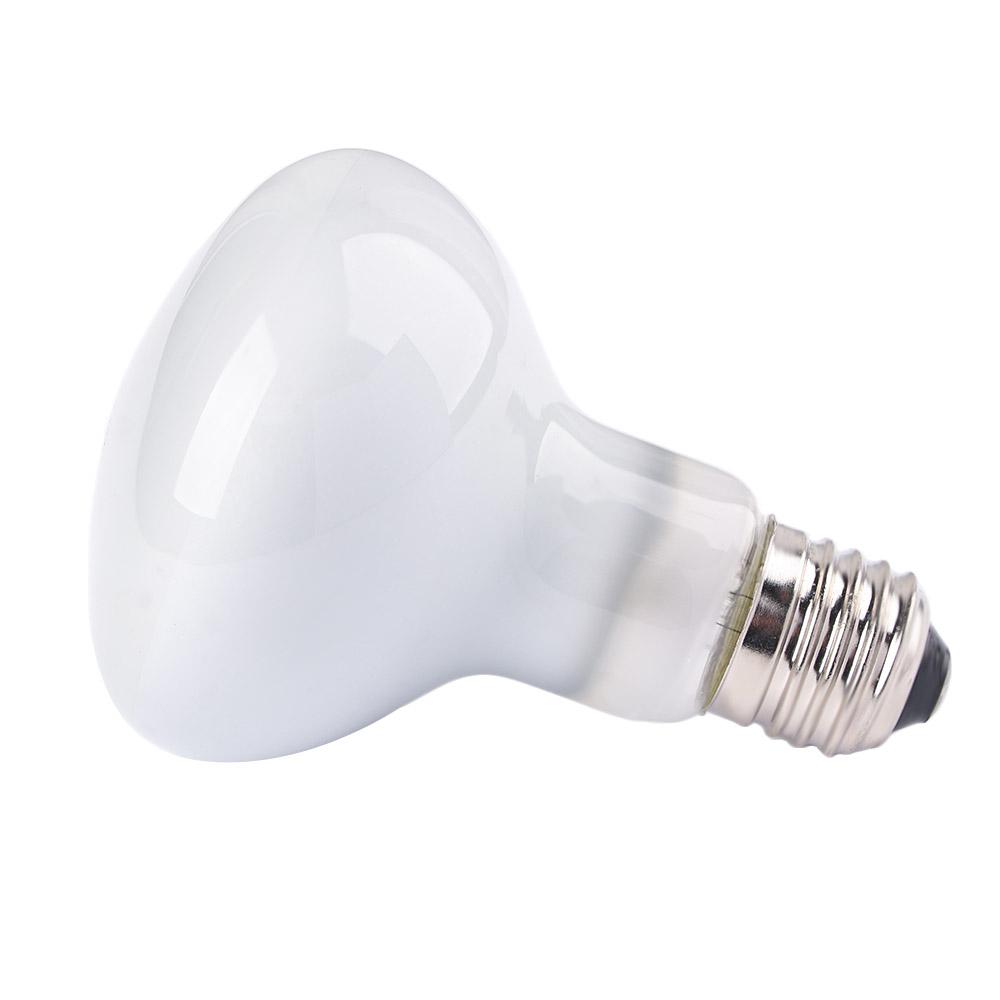 Лампа-обогреватель для амфибий – обзор и цена Basking Bulb Halogen