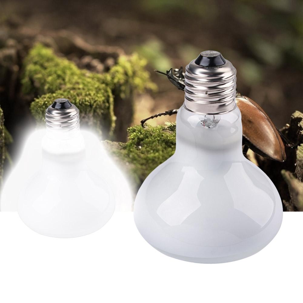 Лампа-обогреватель для амфибий – обзор и цена Basking Bulb Halogen