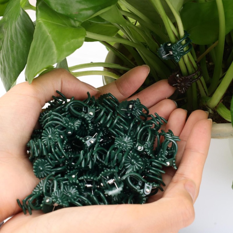 Оптовые мини-зажимы для поддер – обзор и цена Vine Climbing Plastic