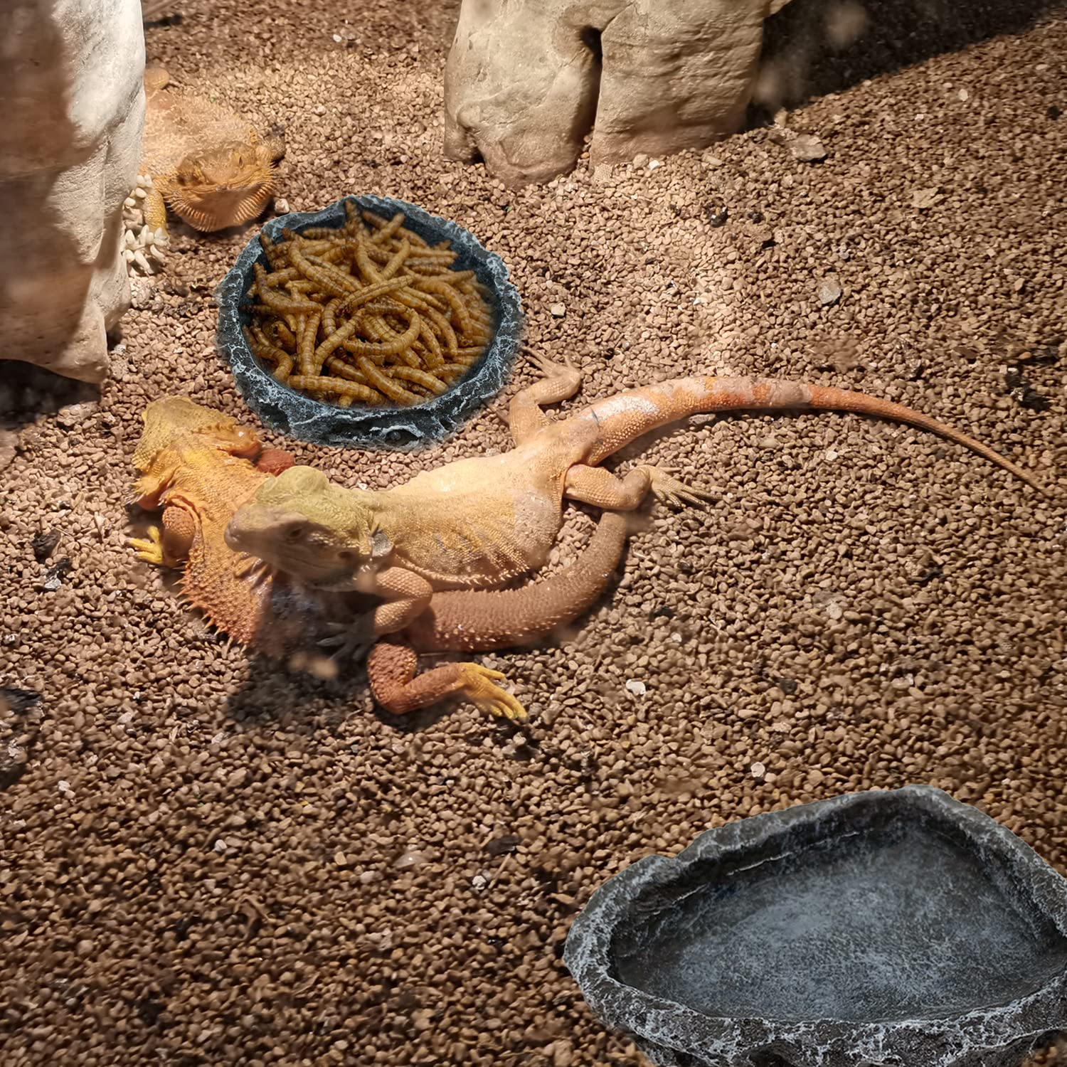Набор из 2 угловых мисок для к – обзор и цена Water Dish Reptile