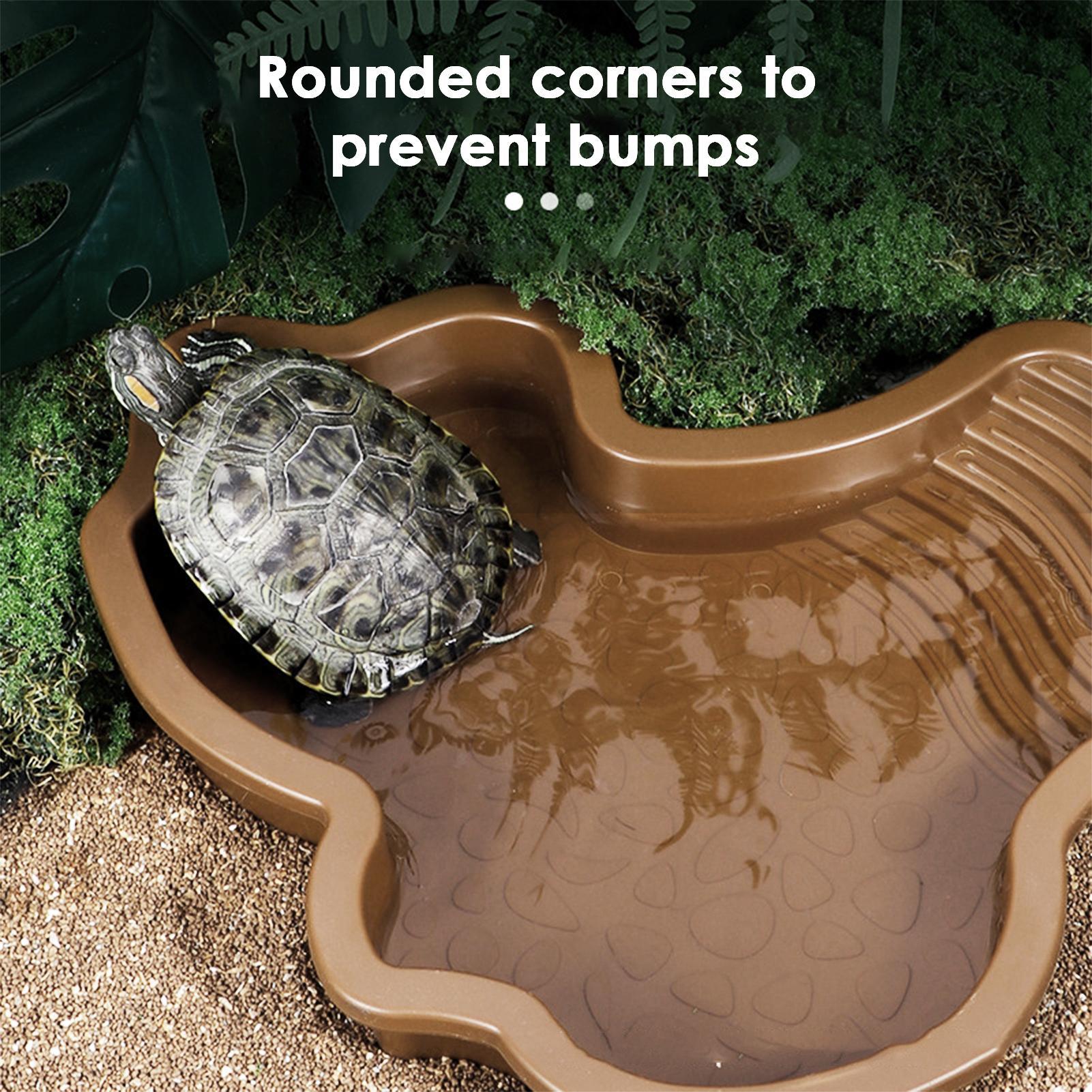 Бассейн для купания рептилий с – обзор и цена Water Dish Reptile