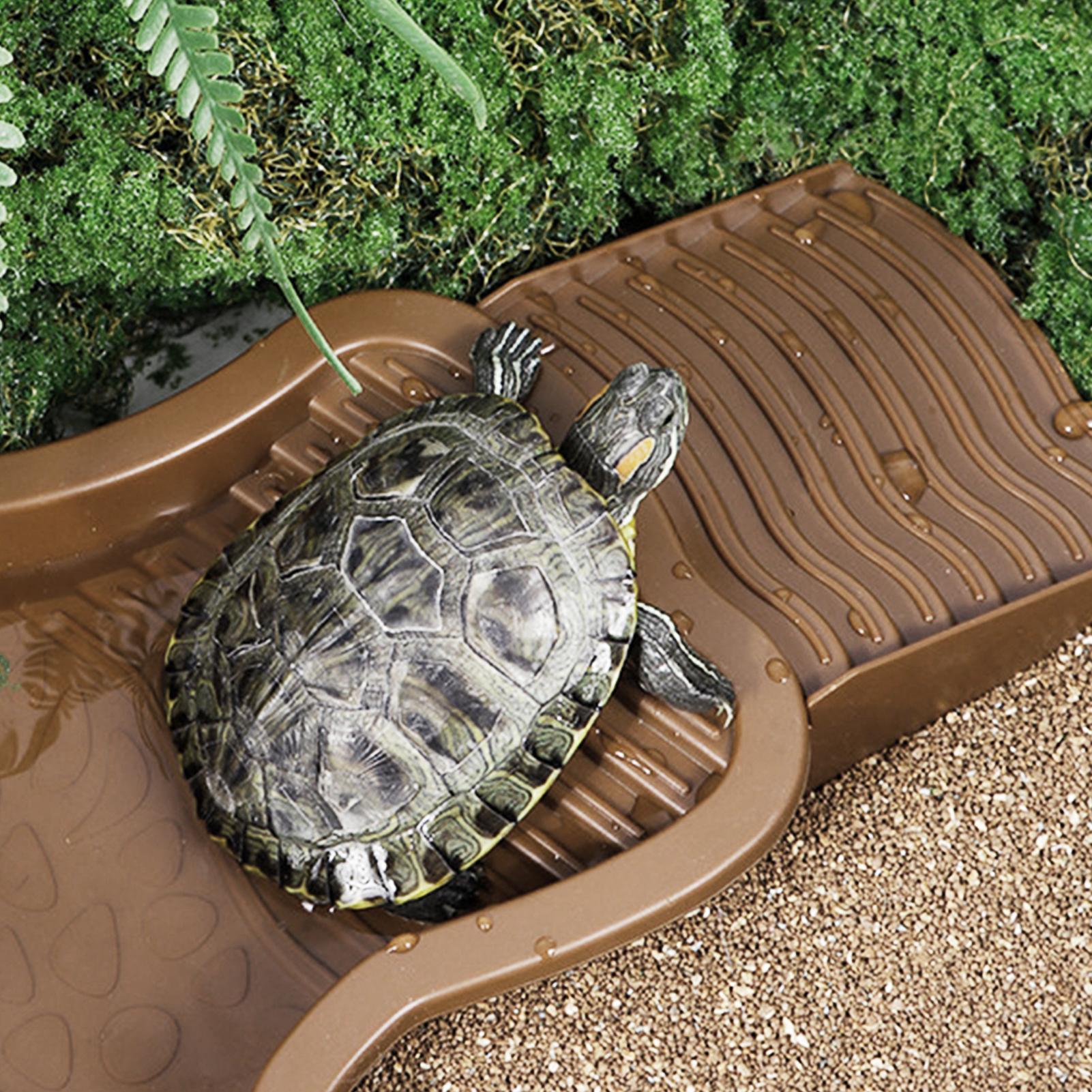 Бассейн для купания рептилий с – обзор и цена Water Dish Reptile