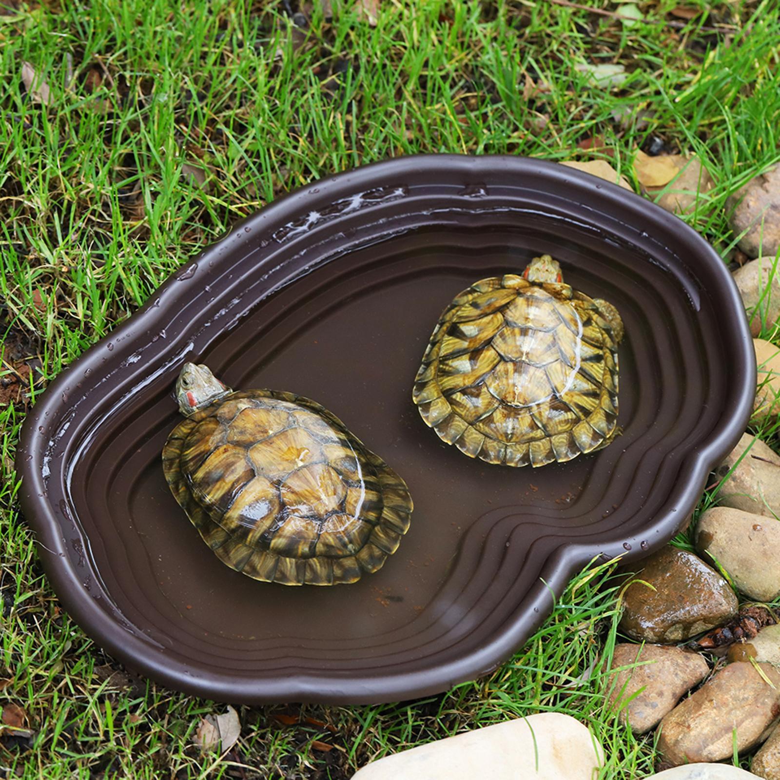 Тарелка для мытья рептилий, ко – обзор и цена Water Dish Reptile