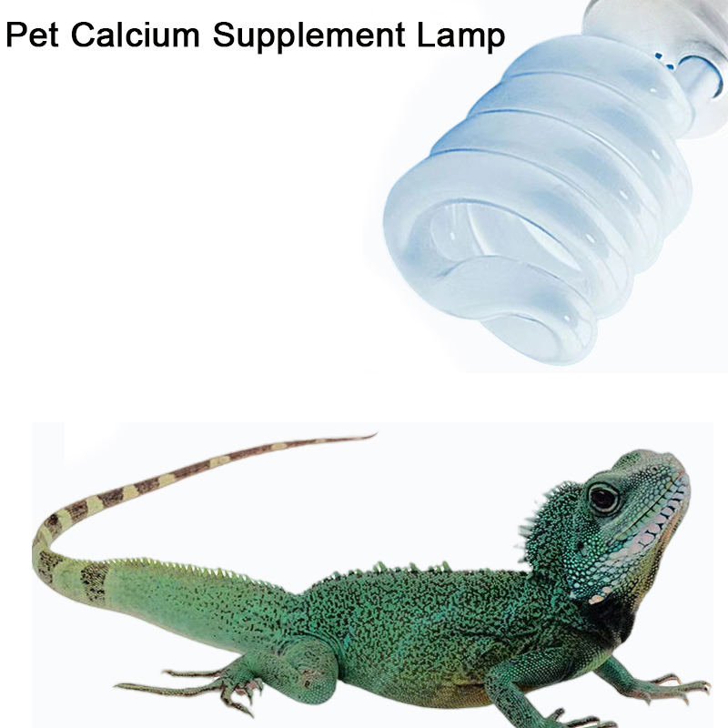 E27 13 Вт/26 Вт рептилии уфв л – обзор и цена Calcium Powder Reptile
