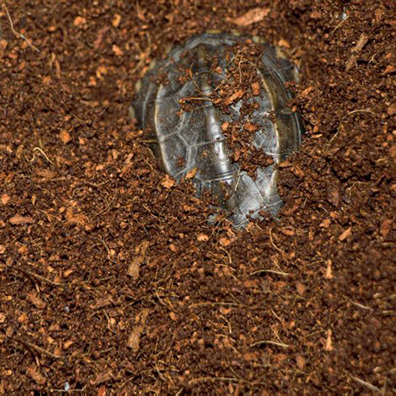 WAJABABY Готовый к использован – обзор и цена Substrate Coconut Fiber